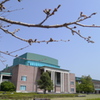 春のお彼岸　（高知・香美市）