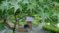 P1180085