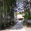 早春３月…高知で散歩