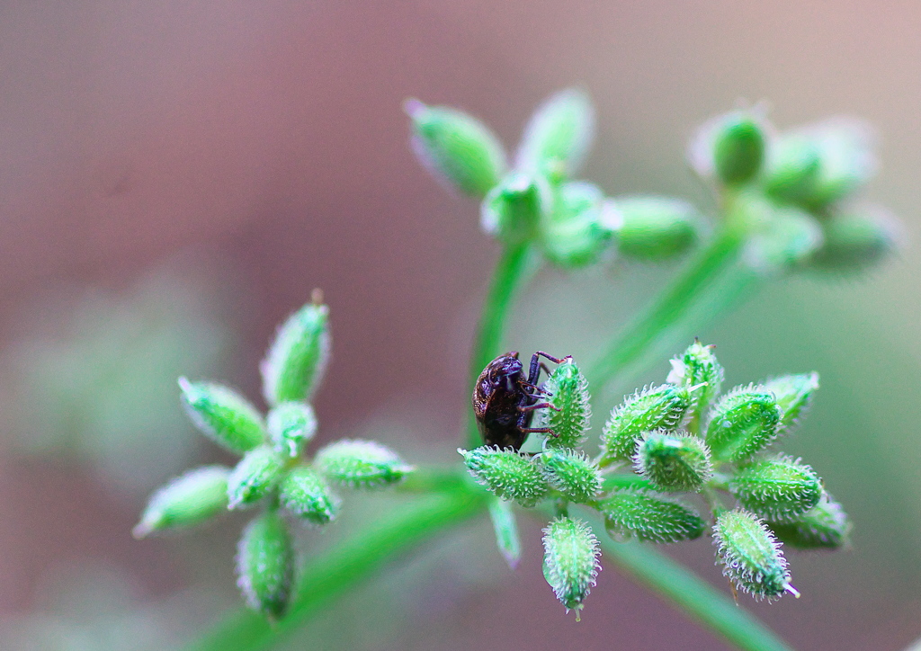 まともに、撮られた。