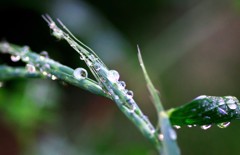 水滴