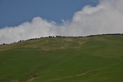 l021