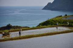 山陰海岸