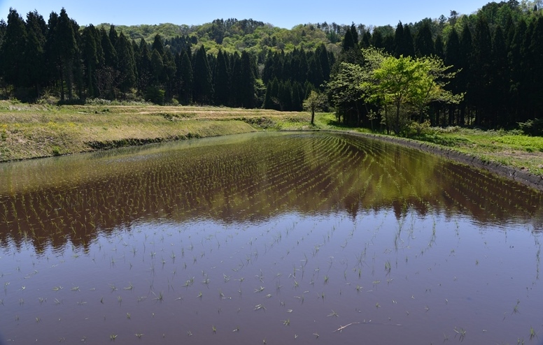 大山２