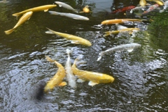 i008