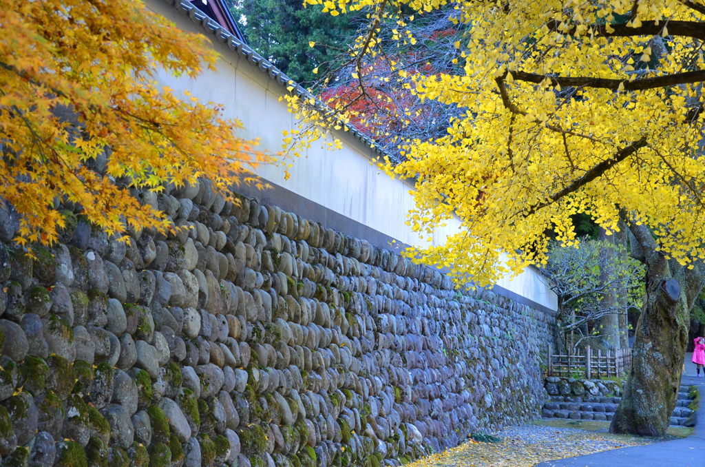 山の紅葉　２