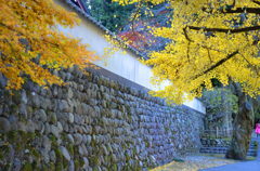 山の紅葉　２