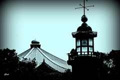 ここで見る　自分の影