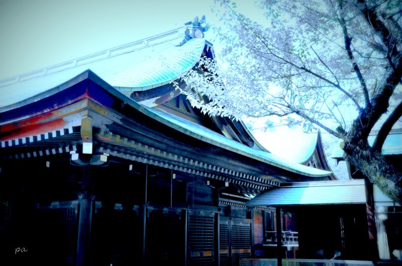 寄り道の場所　１
