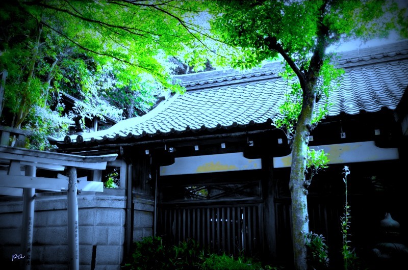 寄り道の場所　４