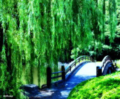 柳の下って　幽霊が出るって、本当？