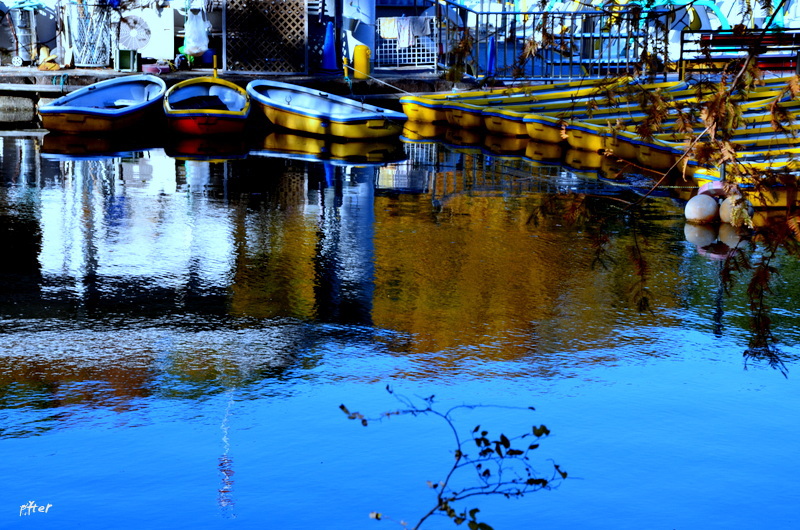 ボートに乗り　水の音を聞く