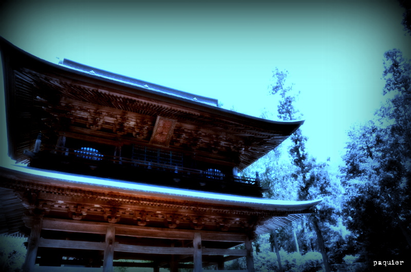 木造建築の素晴らしさ