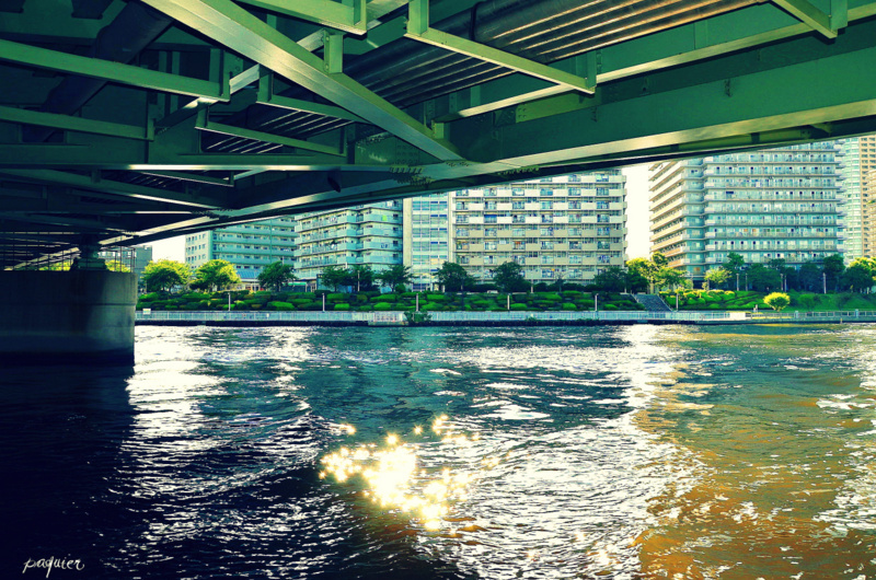 川が感傷に耽ると　水までが眩しい