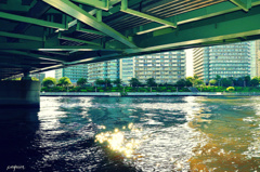 川が感傷に耽ると　水までが眩しい