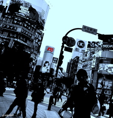 交差点は神秘でも象徴でも・・・ない　　　カメラで撮す場所だ・・（カフカ）