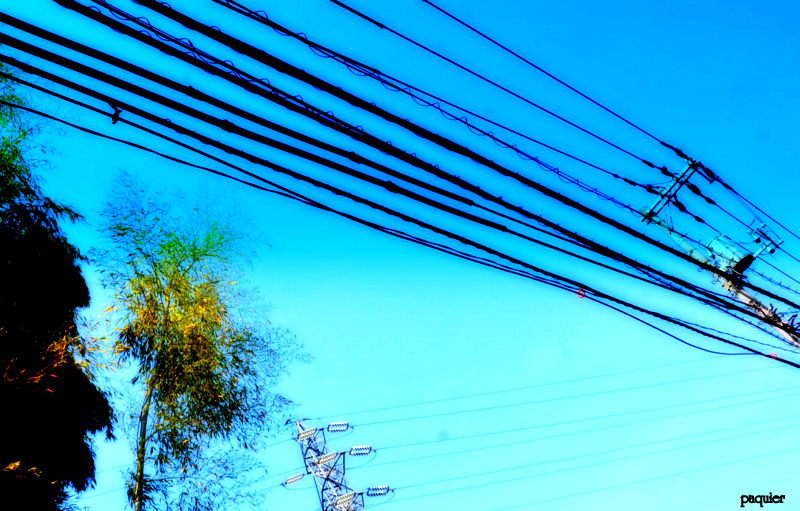 ここの♫を書きたいなぁ～