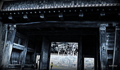 10月の風が吹き抜けていく