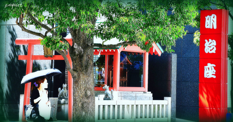 明治座の色と白い傘