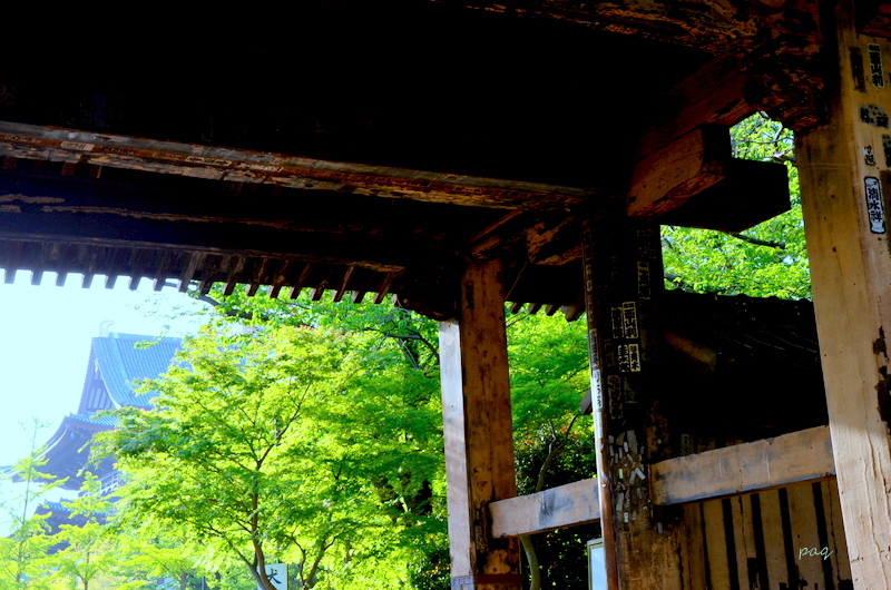 寺　１