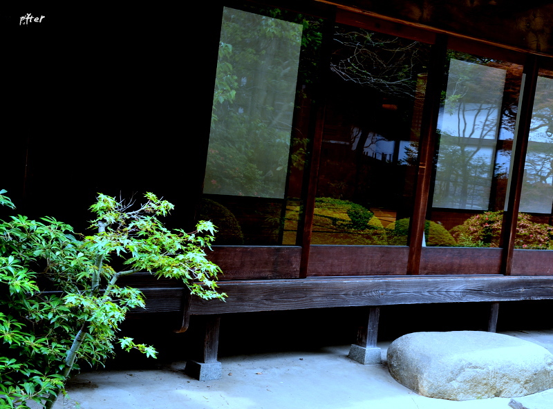 揺れる木が窓に映っている