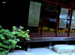 揺れる木が窓に映っている