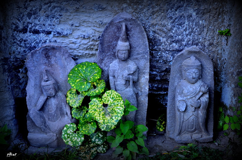 空は無名、この世界も無名、この時間も無名