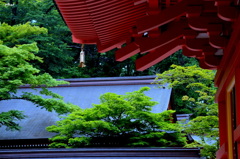 ここに幾つかの風がある