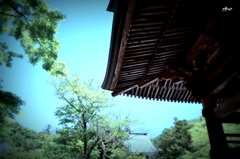 ここで聞く風の音