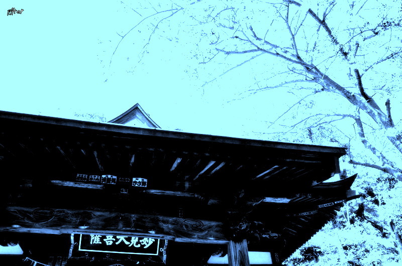 線香の匂いが好きなんですよ　(^_^;)