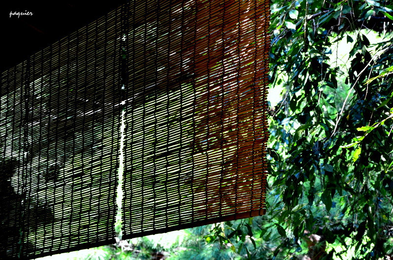 永井荷風になった気分だよ　(^_^;)