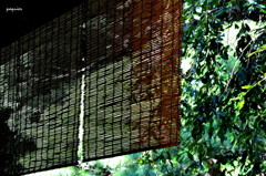 永井荷風になった気分だよ　(^_^;)