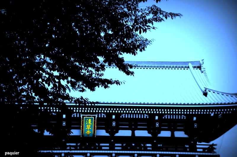 カメラを向けたら　そこに浅草が