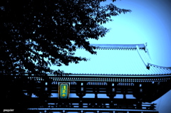 カメラを向けたら　そこに浅草が