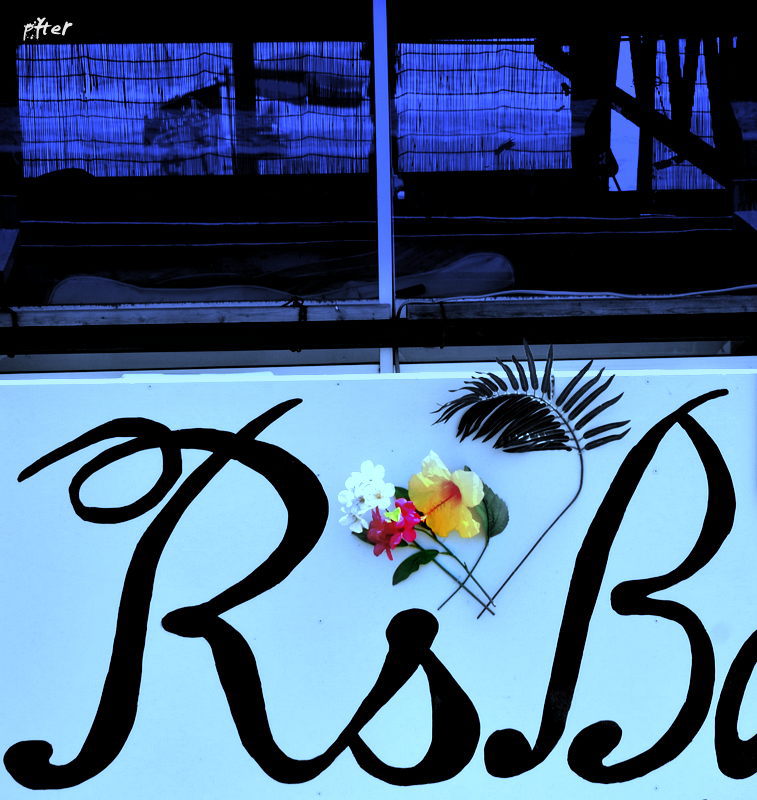 夏の日の想い出