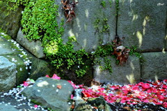 自然の中の花街です