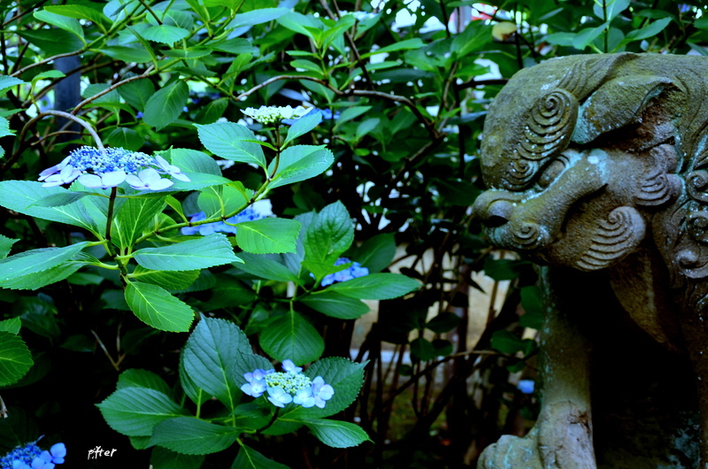 いつも私を見てくれて　嬉しいわ