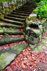 枯葉は集まり　お互いを暖めあう