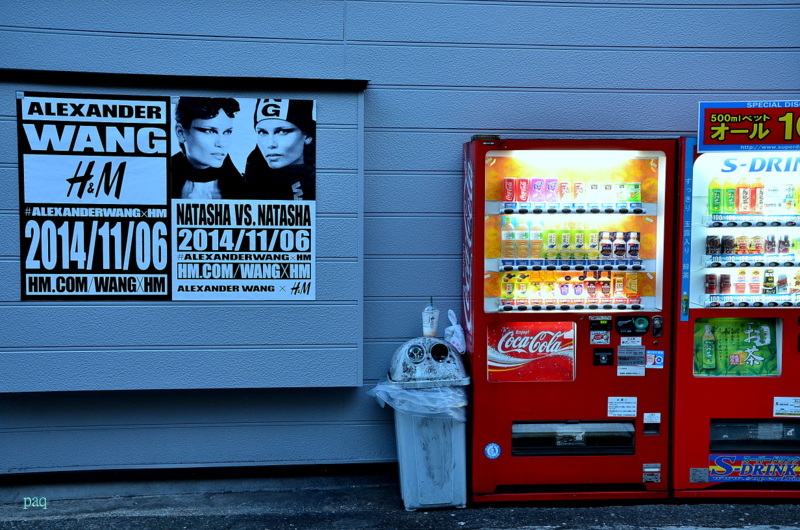 街を撮る猫　１