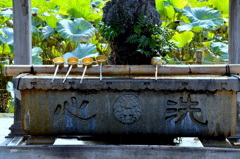 古寺　１