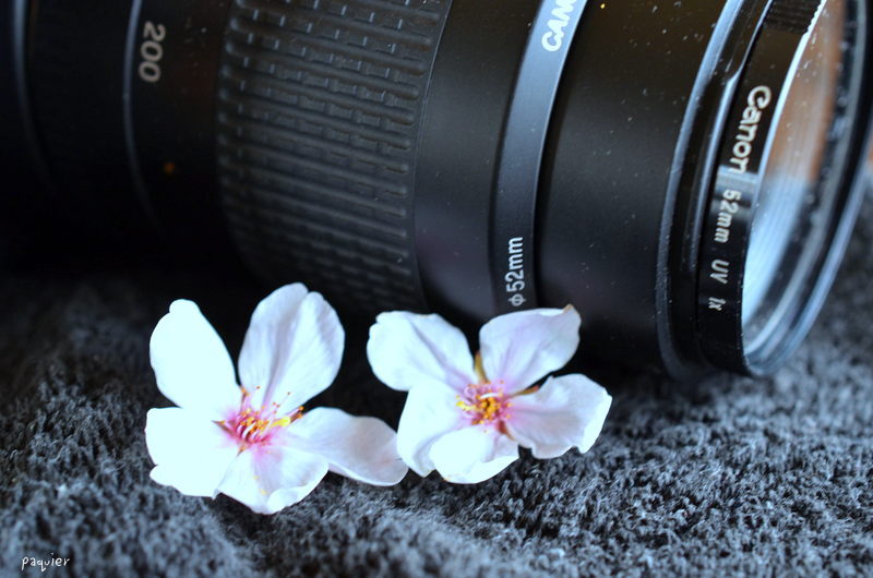 お疲れ様　レンズさん・・