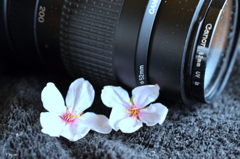 お疲れ様　レンズさん・・