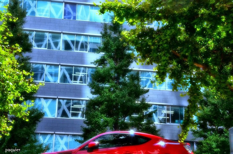 赤い車は好きですか？