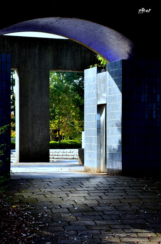 或る午後の光と影