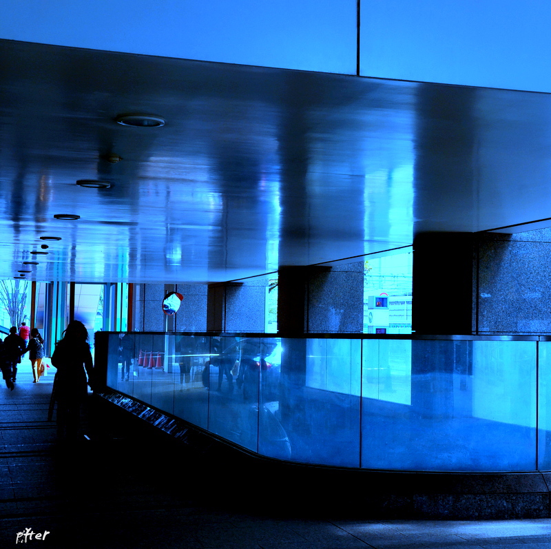 青い風が吹き抜けていく