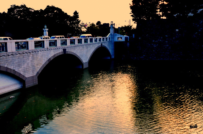 夕霜がお堀に・・・