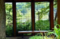 公園　１