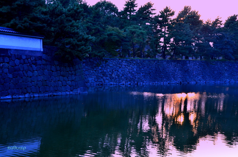 お堀の白鳥も　もうすぐ夢の中に・・・