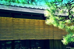 もうじき　夏なんだ・・・