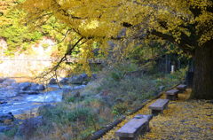 山の紅葉　１